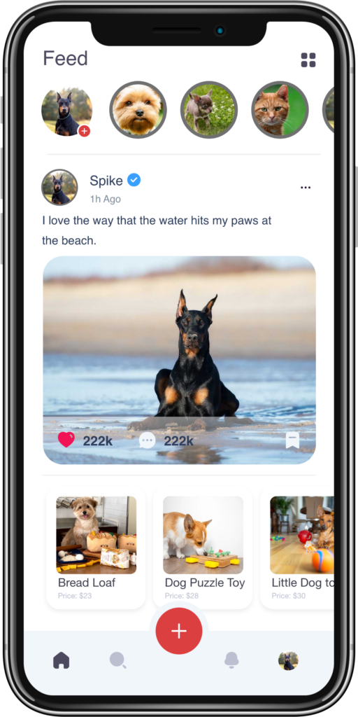 Connect with Local Pet Owners & Find Pet Playdates Near You
