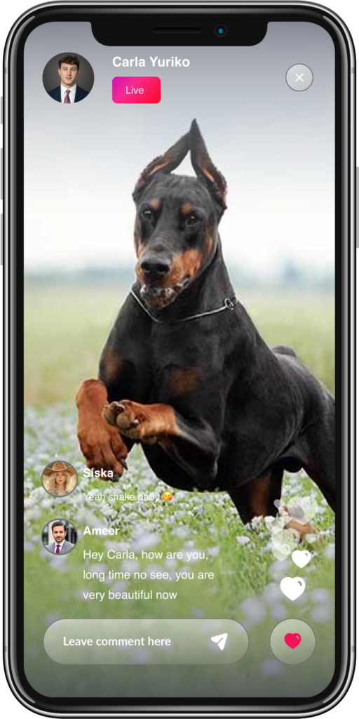 Welcome to the Ultimate Pet Lover’s Community​