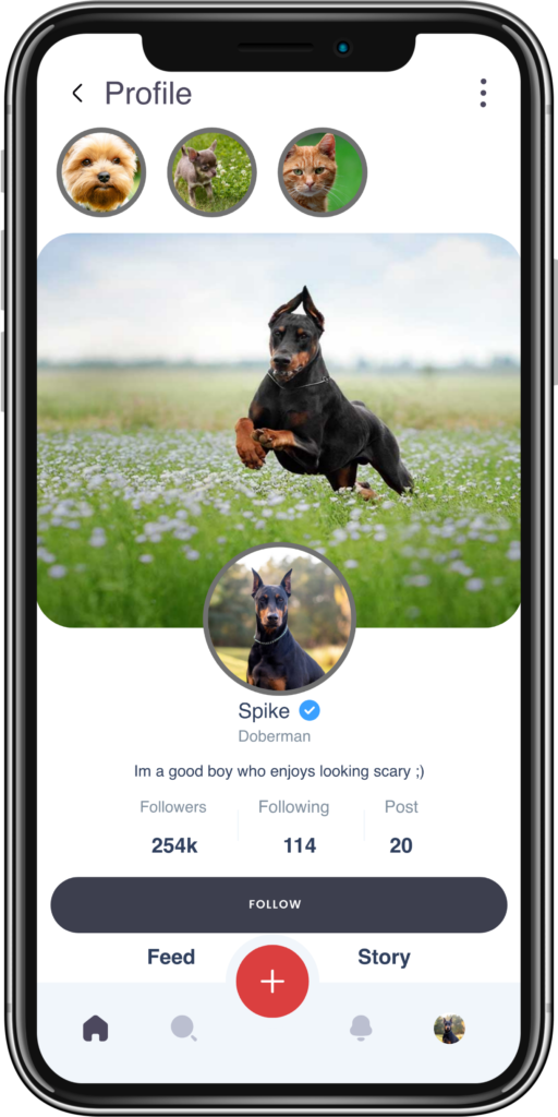 Animal Luverz: A Pet Lover’s App Built from the Heart